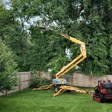 Best Tree Risk Assessment  in Bratenahl, OH